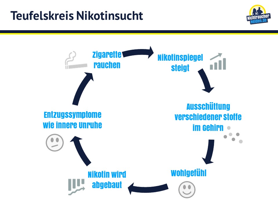 Nikotin: So lange bleibt es im Körper - und wie lange es dauert, bis es  abgebaut wurde