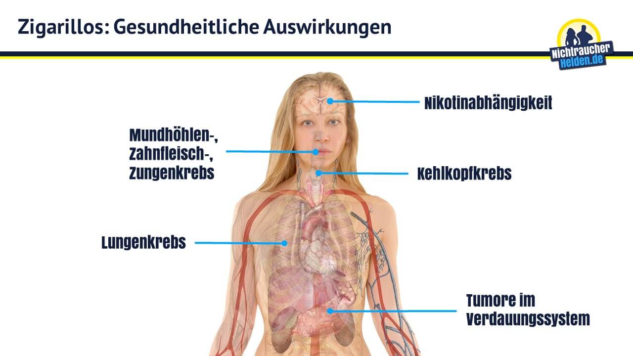 Und nichtraucher lunge raucher Raucherlunge: Wie